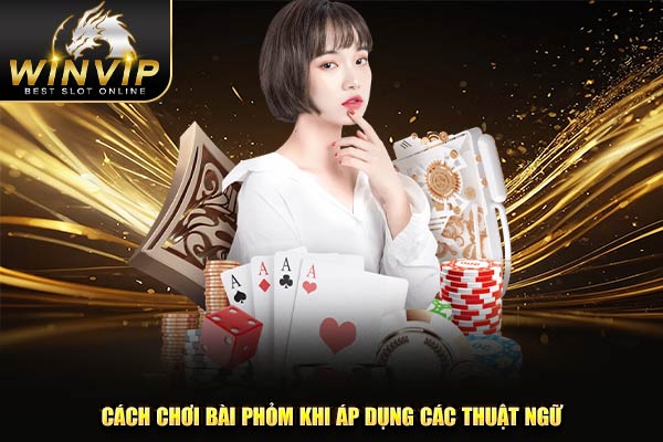 Cách chơi bài phỏm khi áp dụng các thuật ngữ 